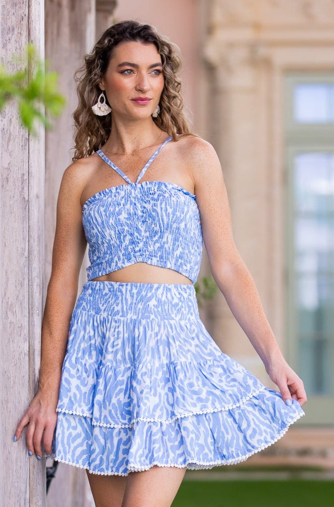 McKenna Set Skirt / Periwinkle Zebra