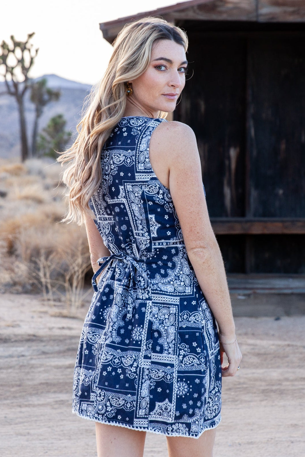 Jane Dress / Navy Bandana