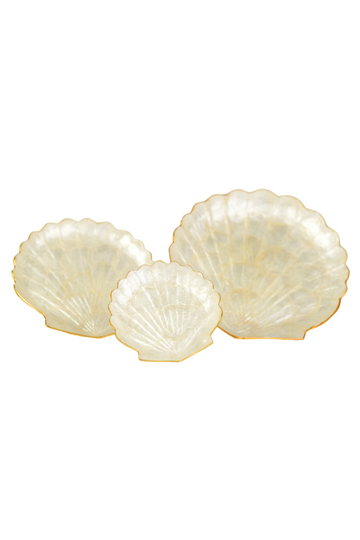 Shell Plate Set / Pearl White