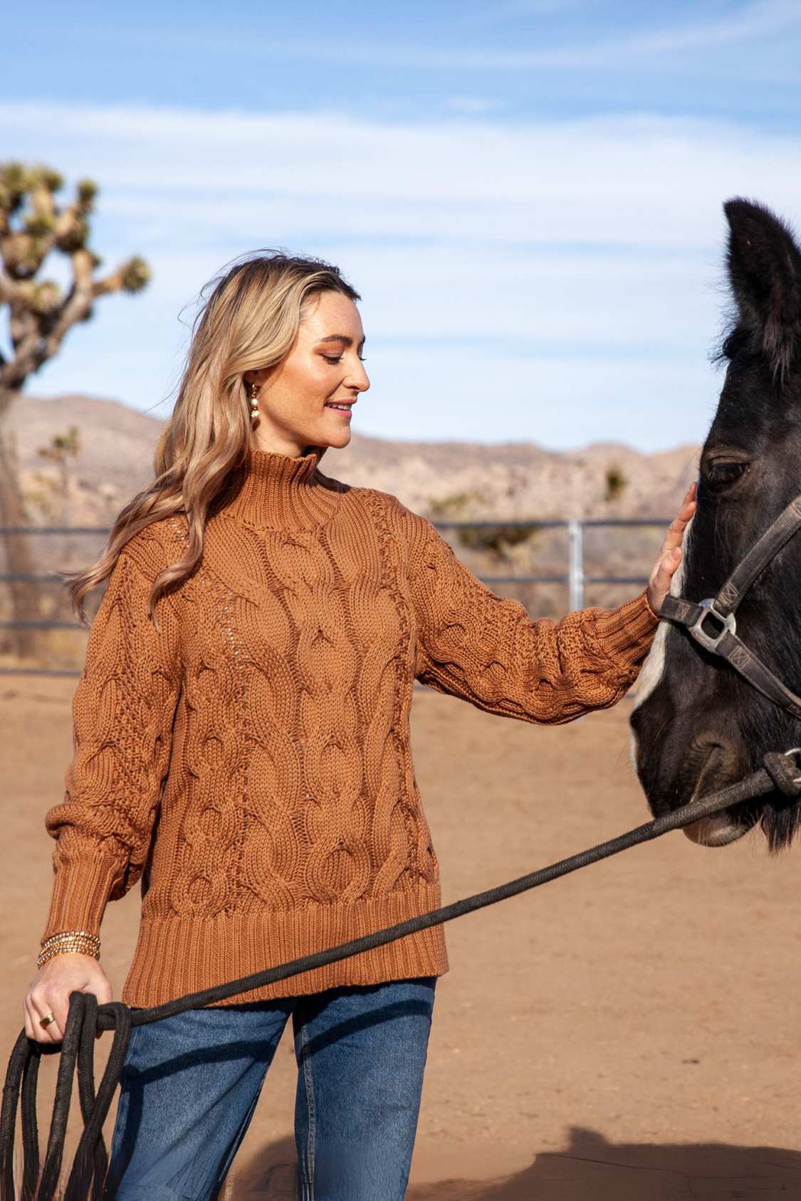 Casey Sweater / Brown